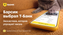 «Барсик, ты что натворил?»: «Т-Банк» запустил новую рекламную кампанию к 20-летию бренда