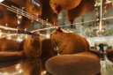 Новый маскот на Cosmoscow: как 12 STOREEZ и Decentralized Atelier создали арт-объект